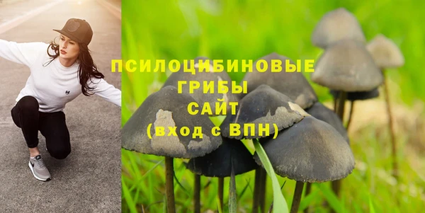 гидропоника Краснотурьинск