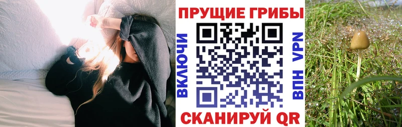 Псилоцибиновые грибы ЛСД Липецк