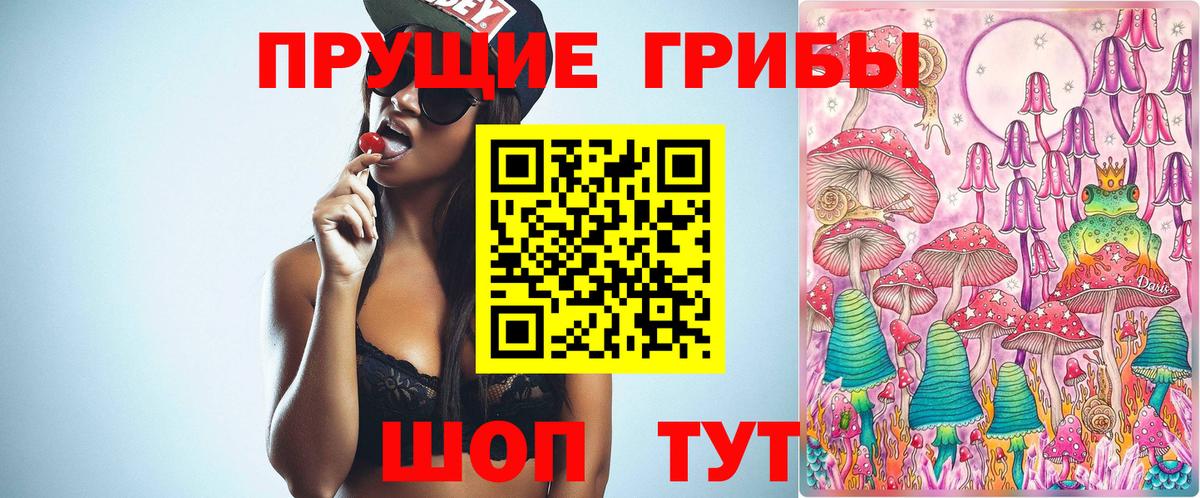 Псилоцибиновые грибы Cubensis  Вход с VPN  Липецк 