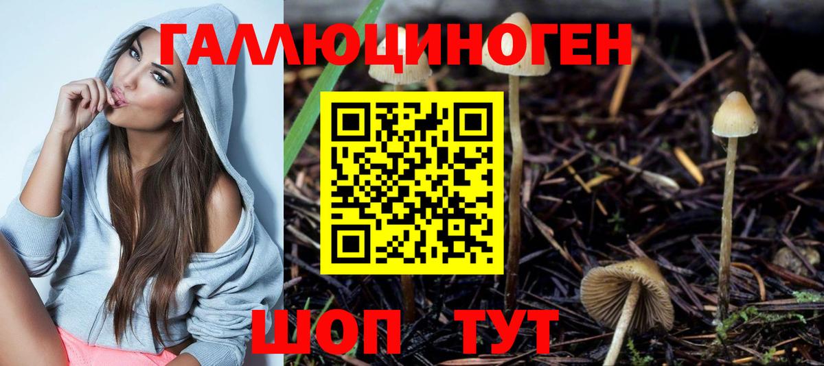 Псилоцибиновые грибы мухоморы Липецк