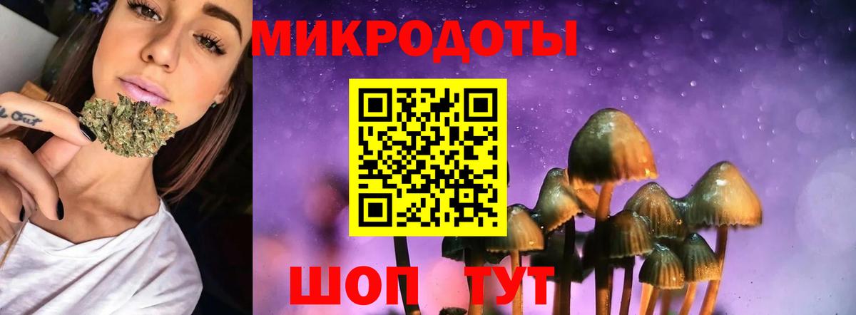 Галлюциногенные грибы Magic Shrooms Липецк